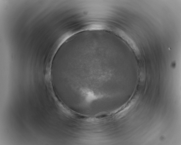 X0000102541473200808151631