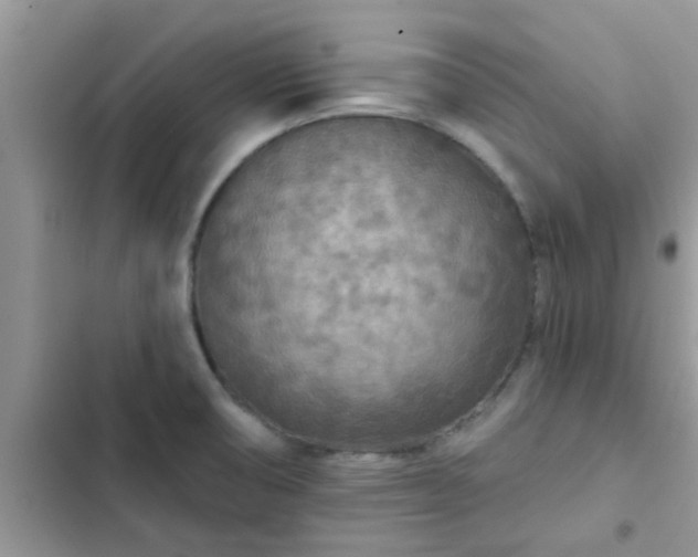 X0000102541474200808151631