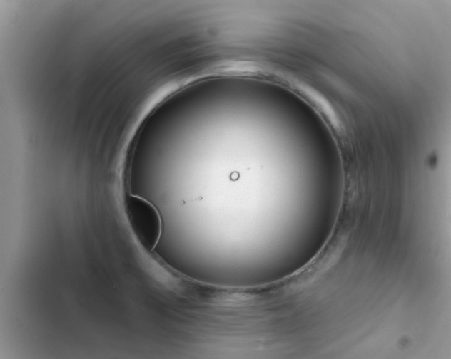 X0000102541475200808151631