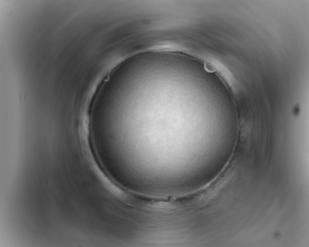 X0000102541476200808151631