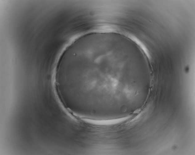 X0000102541477200808151631