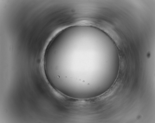 X0000102541478200808151631