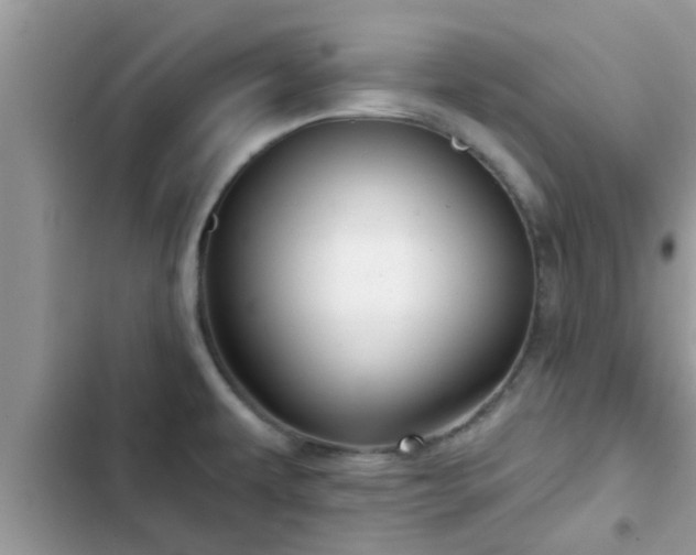 X0000102541479200808151631