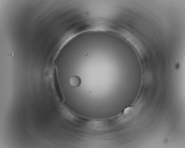 X0000102541481200808151631