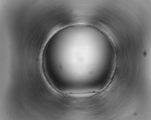 X0000102541483200808151631