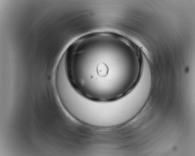 X0000102541484200808151631