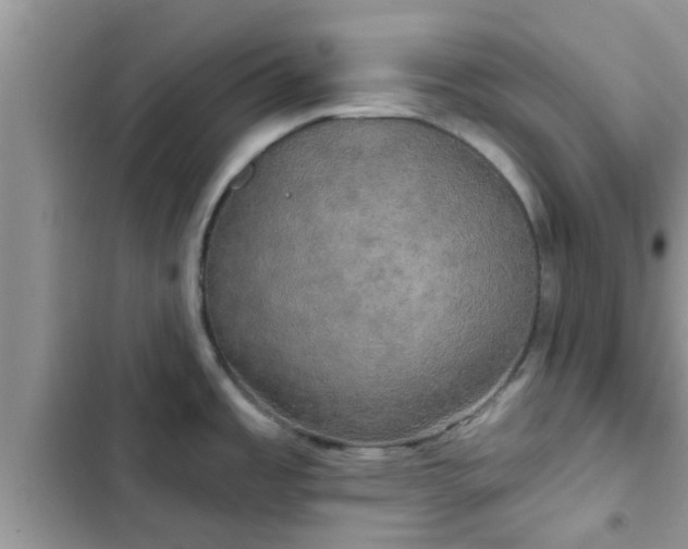 X0000102541485200808151631