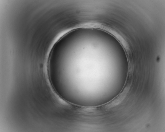 X0000102541486200808151631