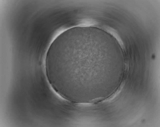 X0000102541487200808151631