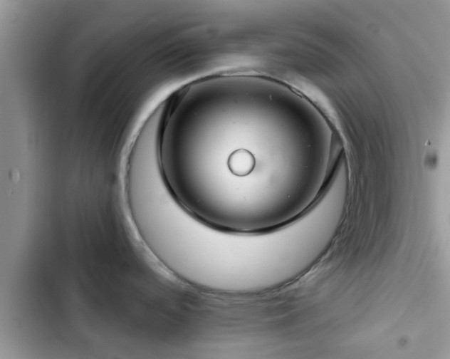 X0000102541488200808151631