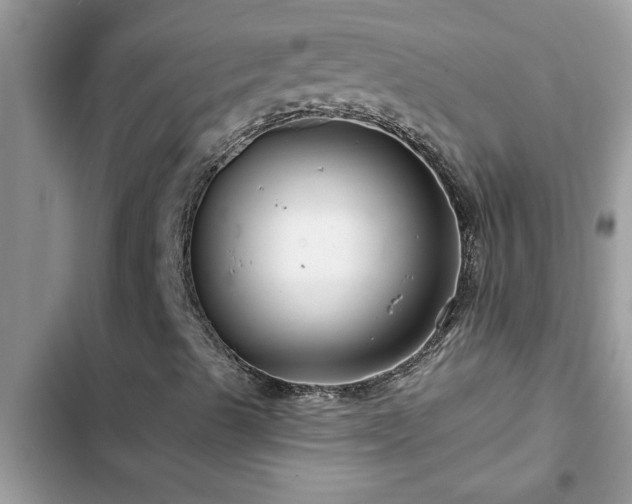 X0000102541489200808151630