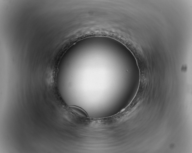 X0000102541490200808151630