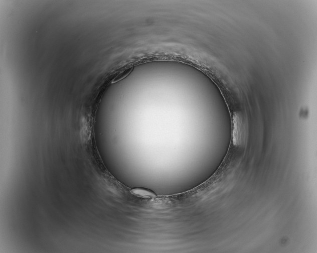 X0000102541491200808151630