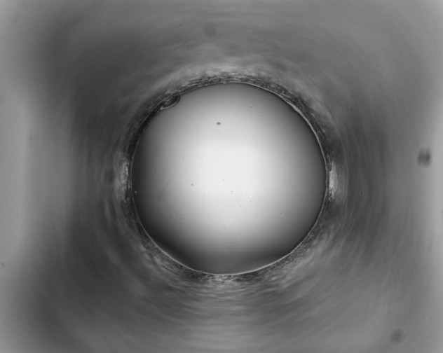 X0000102541492200808151630