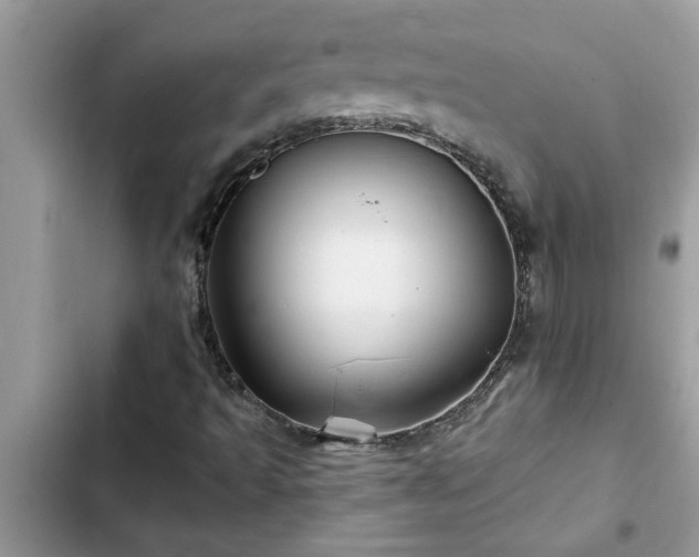 X0000102541493200808151630