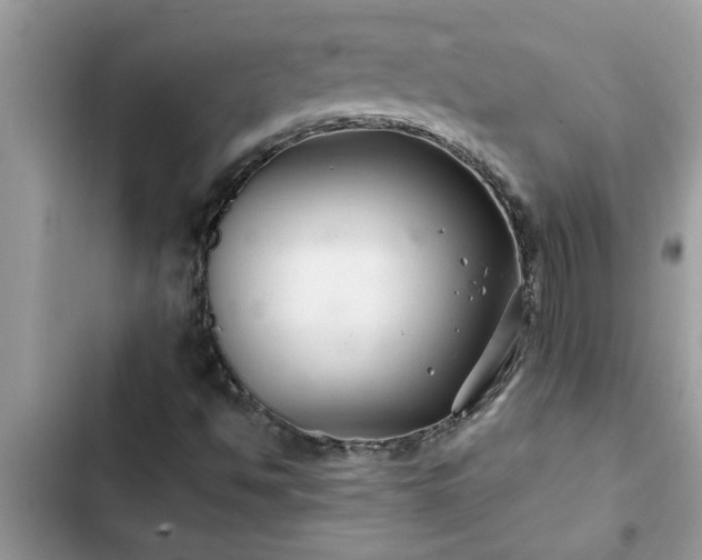 X0000102541494200808151630