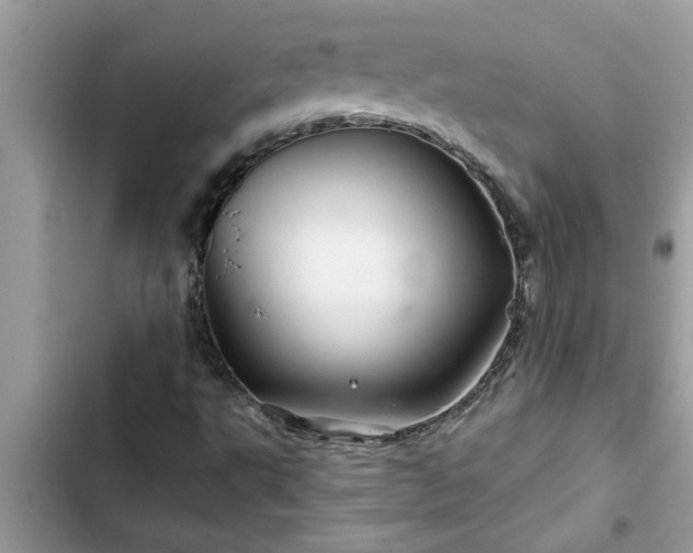 X0000102541495200808151630