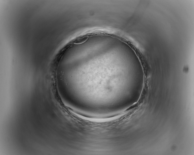 X0000102541496200808151630