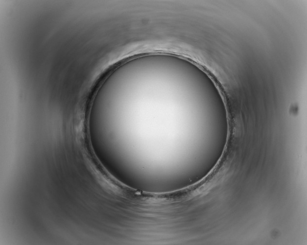 X0000102541499200808151630