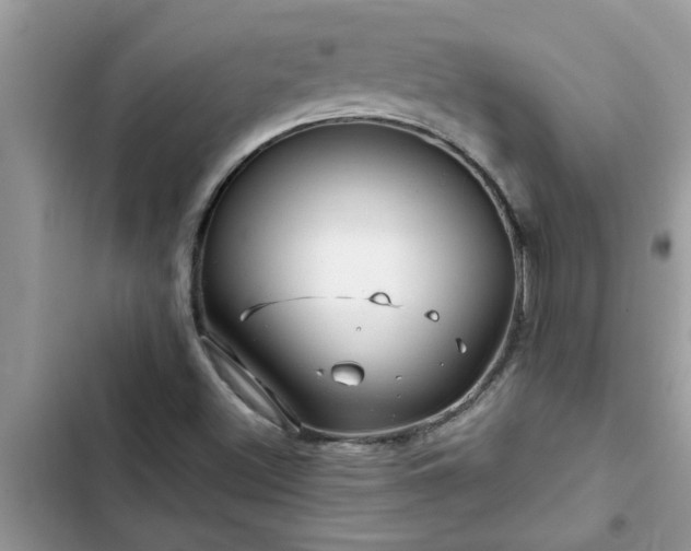 X0000102541500200808151630