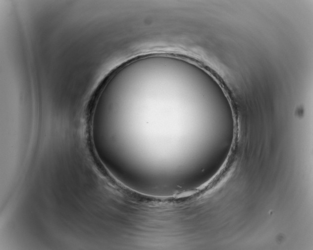 X0000102541501200808151630