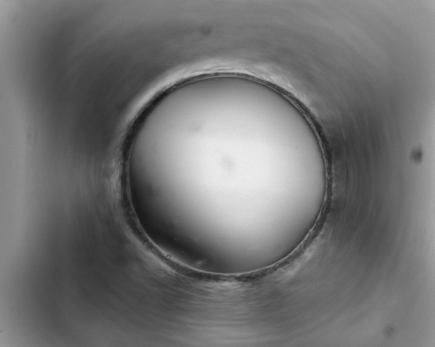 X0000102541502200808151630