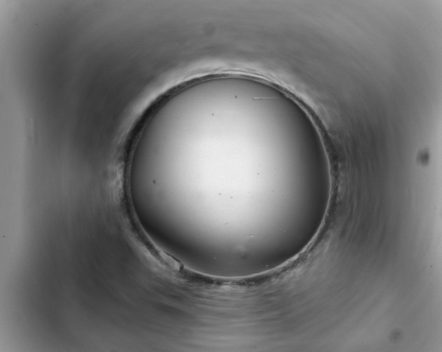 X0000102541503200808151630