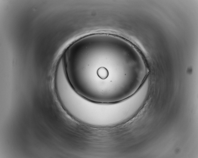 X0000102541504200808151630