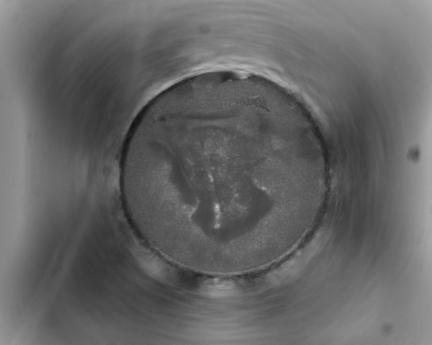 X0000102541505200808151630