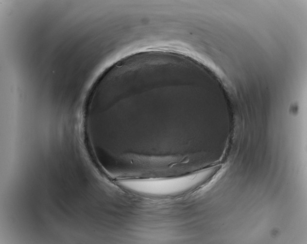 X0000102541506200808151630