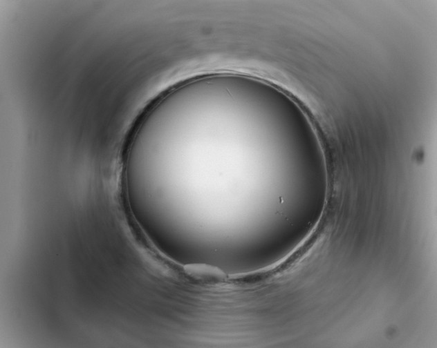 X0000102541507200808151630