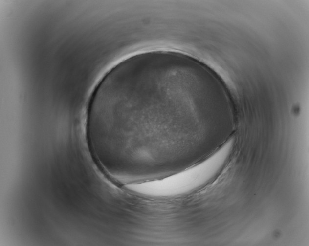 X0000102541508200808151630