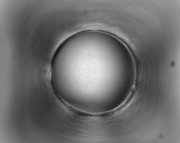 X0000102541509200808151630