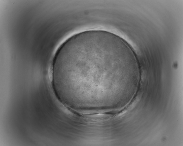 X0000102541510200808151630