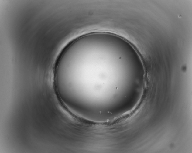 X0000102541511200808151630