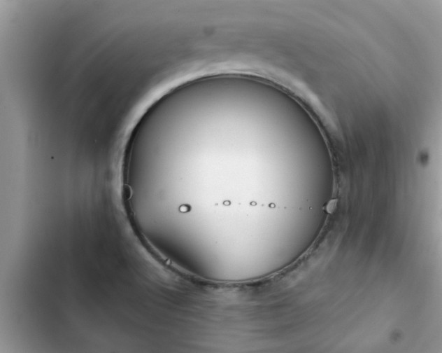 X0000102541512200808151630