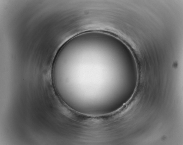 X0000102541513200808151630