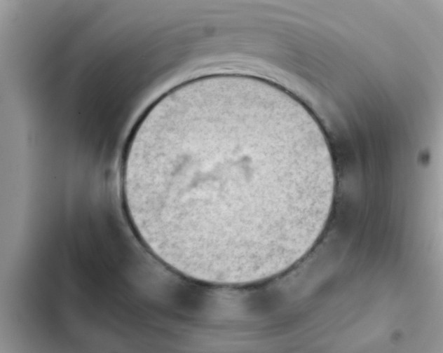 X0000102541514200808151630