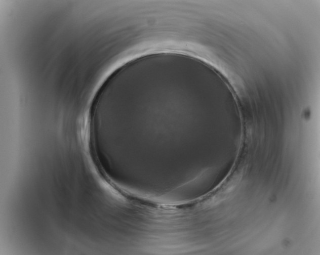 X0000102541515200808151630