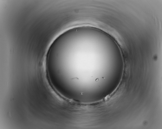 X0000102541516200808151630