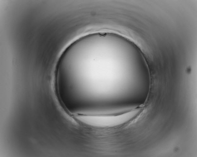 X0000102541518200808151630