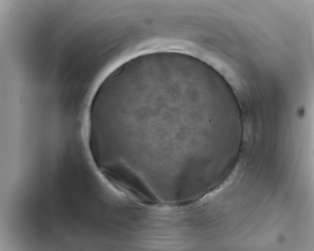 X0000102541520200808151630