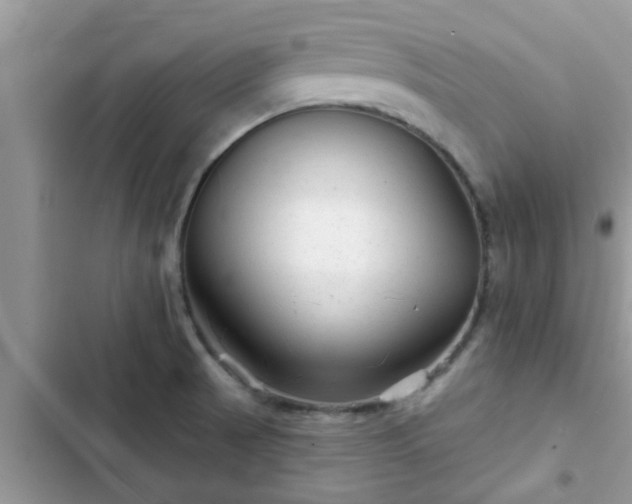 X0000102541521200808151630