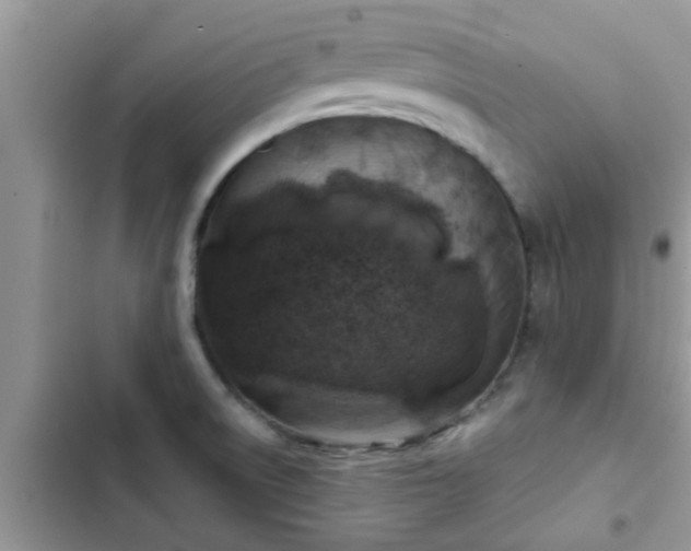 X0000102541522200808151630
