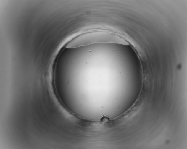 X0000102541523200808151630