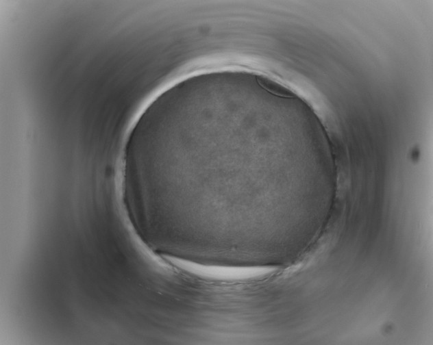 X0000102541524200808151630