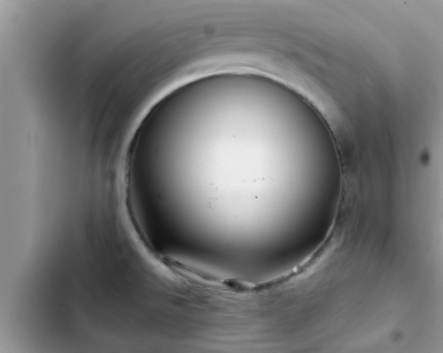 X0000102541526200808151630