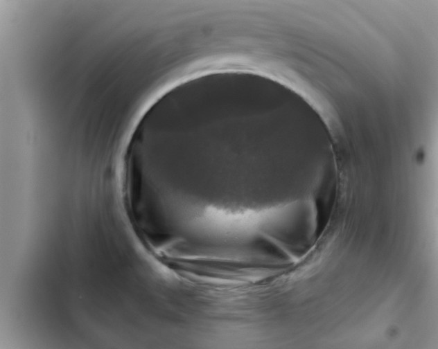 X0000102541527200808151630