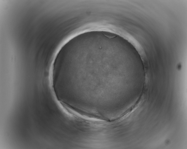 X0000102541528200808151630