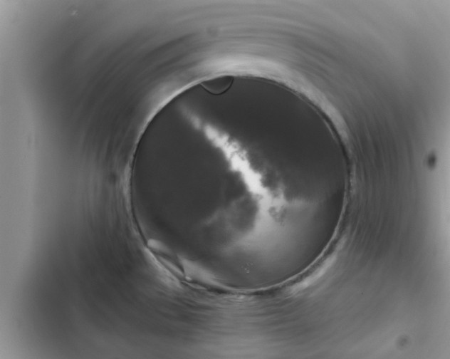 X0000102541529200808151630
